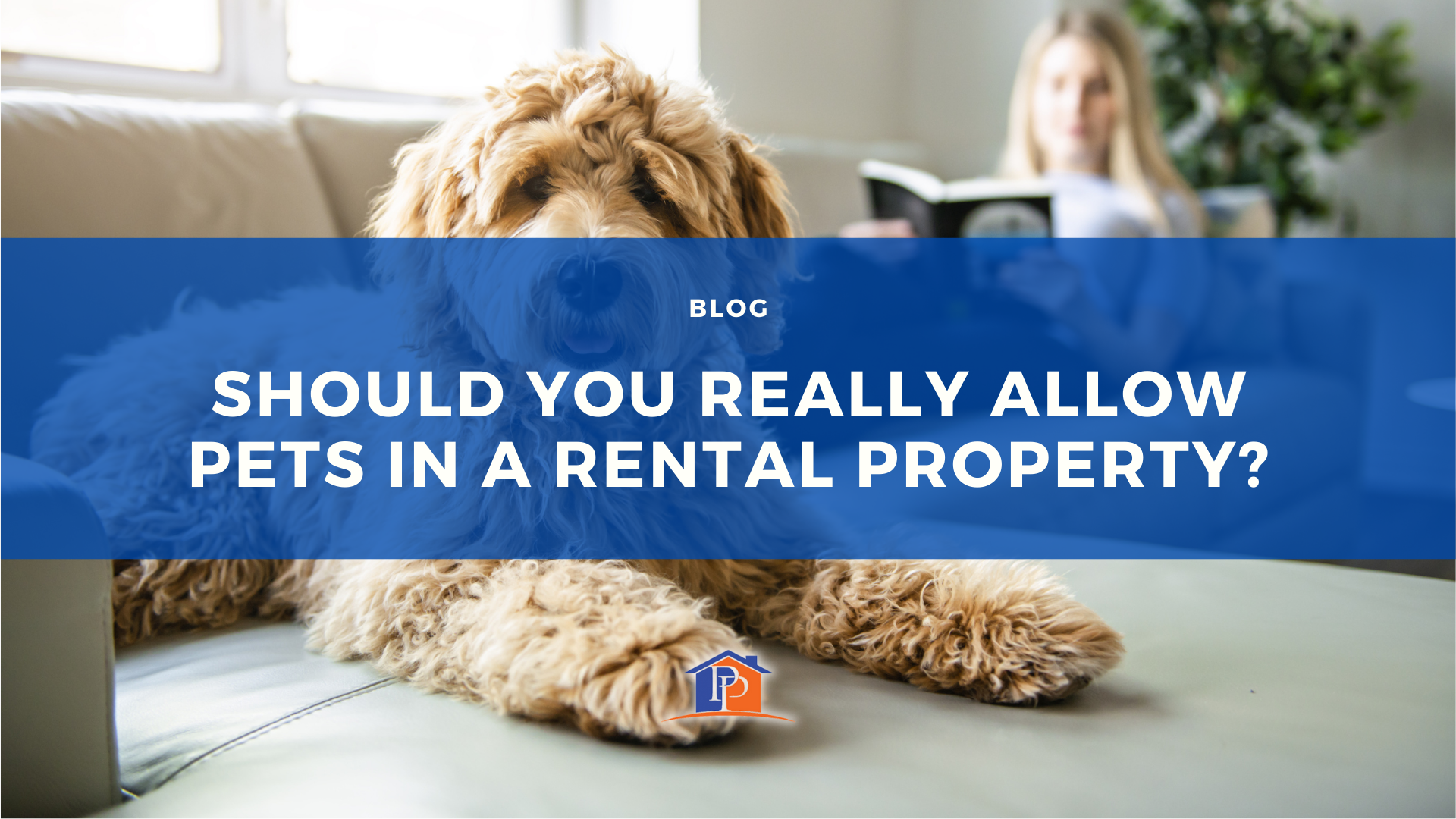 Should You Really Allow Pets in a Rental Property?